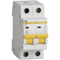 IEK Автоматический выключатель ВА47-29 2Р 8А 4,5кА D (MVA20-2-008-D)