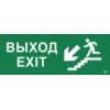 IEK Этикетка самоклеящаяся 350х130мм Выход/лестница вниз/фигура (LPC10-1-35-13-VLVNF)