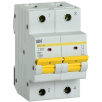 IEK Автоматический выключатель ВА47-150 2Р 100А 15кА C (MVA50-2-100-C)